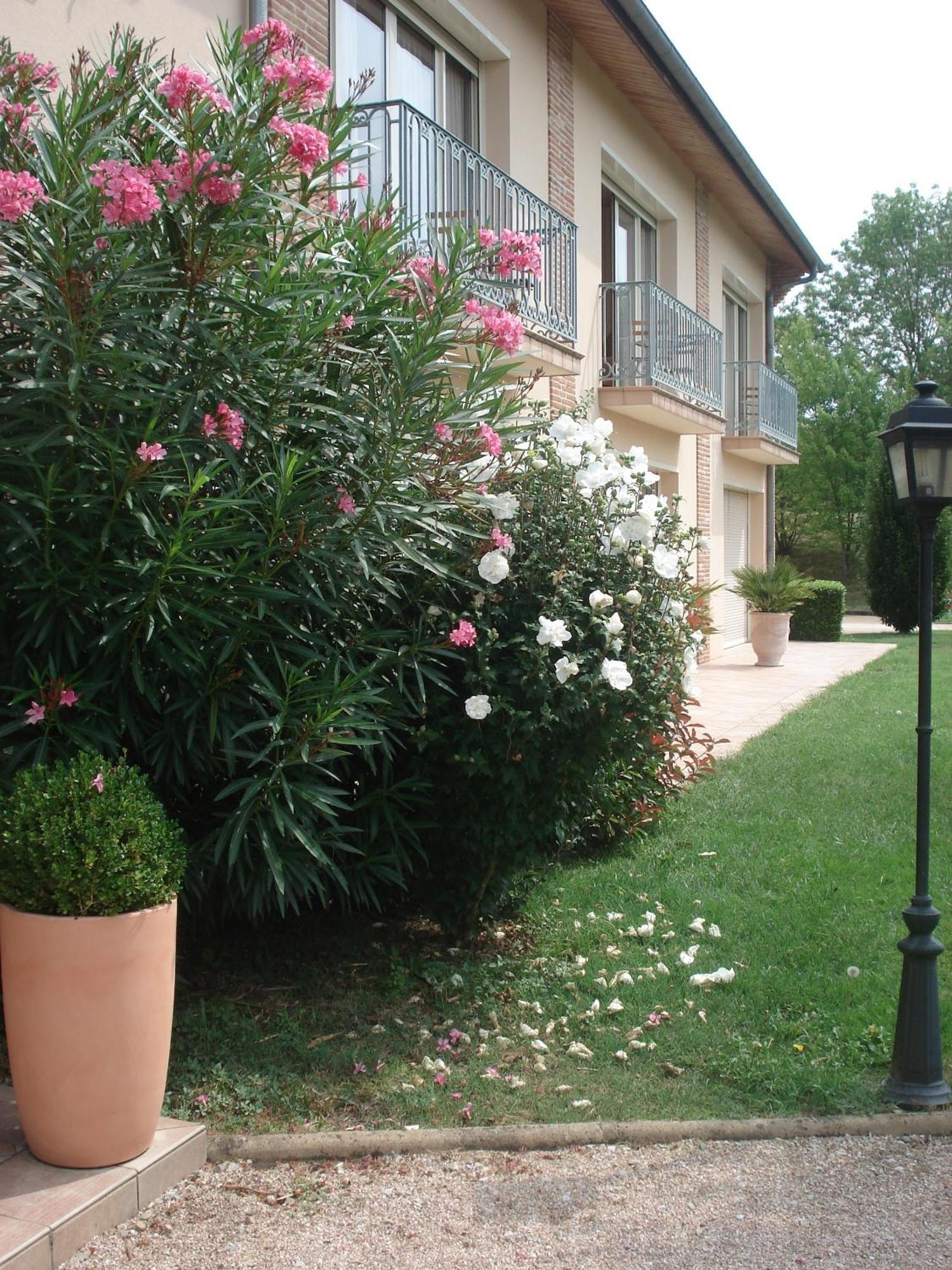 L'Oustal Du Lauragais Hotel Labastide-Beauvoir Exterior photo